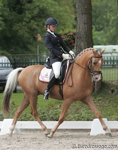 FEI Dressage Pony Hamahr du Bois