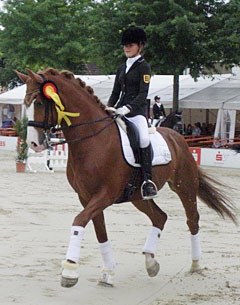 Bendix (by Contango x Jazz)