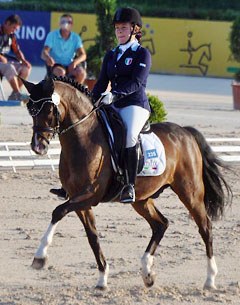Blakt's Thomas at the 2013 European Pony Championships