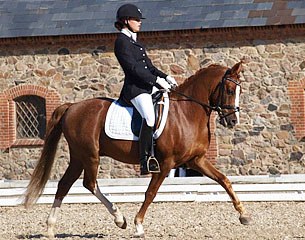 Bonetto D (by Benetton S x Diplomat)