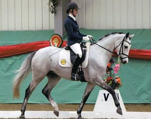 Claudia, 2007 born KWPN mare by Lucky Boy x Allegretto