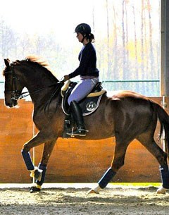 Damali (by Damon Hill x Florestan)
