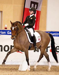 FEI Dressage Pony Davidoff (by Dreamdancer x Dressman I)