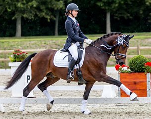 FEI Dressage Pony Da Vinci (by FS Don't Worry x Ramagun)