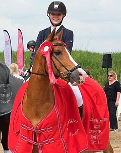 FEI Dressage Pony De Vito