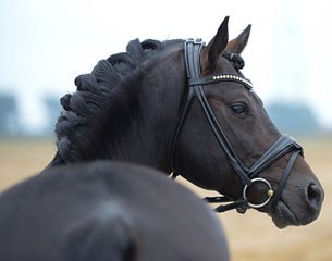 Diamond's Painted Black