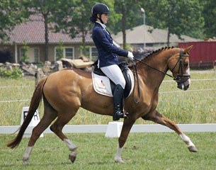 Djamila (by Dinarion x FS Don't Worry)