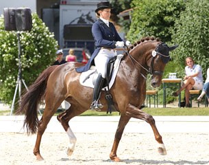 Donna Argentina (by Diamond Hit x Argentinus)