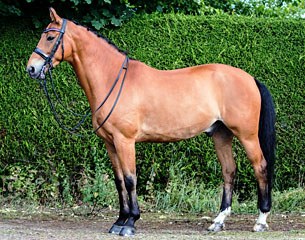 Eager Khan