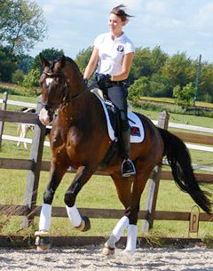 Fil Rouge (by Stedinger x Argentinus x Sandro Hit)