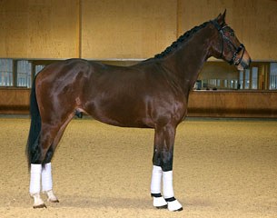Harko (by Bojengel x Lord Sinclair)