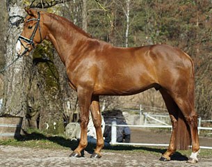 Heraut (by Bordeaux x Ganges)