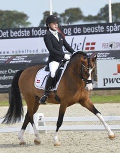 Omlor's Kiesboy at the 2017 CDI-P Uggerhalne :: Photo © Ridehesten
