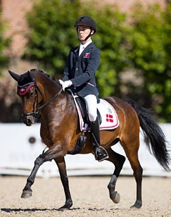 Lilo L at the 2016 European Pony Championships