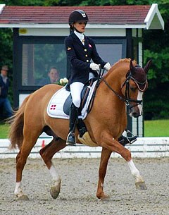 Melli's Dornik