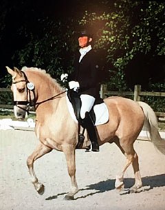 FEI Dressage Pony Mike