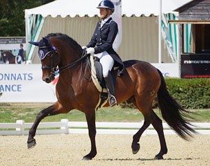 Osado 04 at the 2015 French Dressage Championships in Vierzon