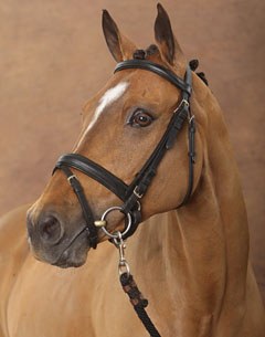 Qualitat des Bourdons is by FS Champion de Luxe