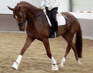 Rubilinde (by Furst Romancier x Castro)