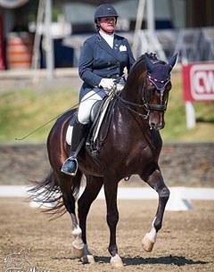 Salmantino (by Sir Donnerhall x Rubin Royal) :: Photo © Terri Miller