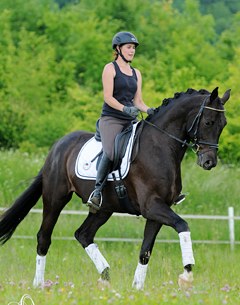 Sandmann (by San Amour x Diamond Hit) :: Photo © Birte Ostwald