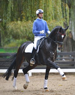 San Pelegrino (by St. Moritz x Wolkentanz I)