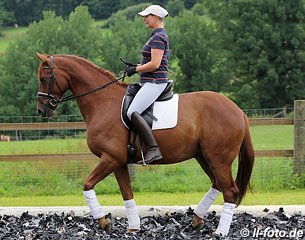 Sans Souci shows talent for piaffe