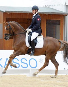 Schapur (by Sweet Dream x Thriantas Norbert)