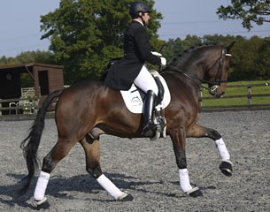 Silver Dream (by Contender)