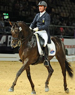 International Grand Prix horse Utopian Cardinal (by Regardez Moi x Lanthan)