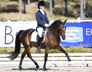 Bangens Valentine (by Vermont RP x Uplands Bronze)