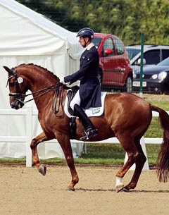 Vivanck (by Royal Dance x Vincent x Donnerhall)
