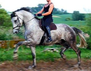 Olympic Grand Prix prospect Werbel Fstf