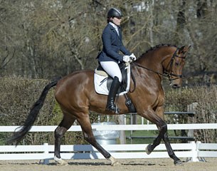 This private yard with quality horses of all levels is looking for a full-time rider and trainer 