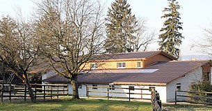 "Optimum Horses" near Zurich, Switzerland