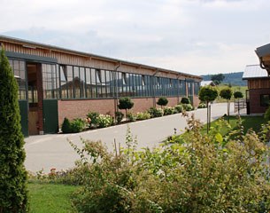Horses Delux Stables