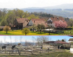 KK Hofor near Zurich, Switzerland
