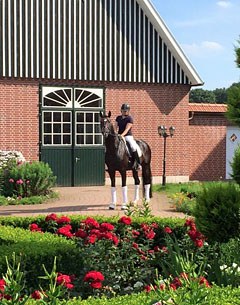 Sabine Rueben's gorgeous yard in the Cloppenburg area in Germany