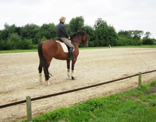 Hippo Safety Fence for a dressage arena