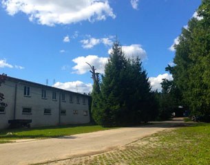 The Aromer equestrian centre - side view with driveway