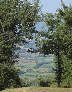 A view over the valley