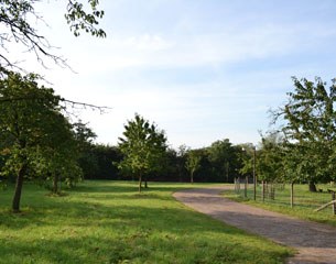 The driveway flanked by an apple orchard
