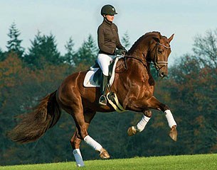 Don Juan de Hus (by Jazz x Krack C x Damiro)