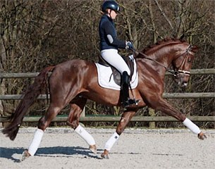 First Step Valentin (by Vitalis x Fidermark)