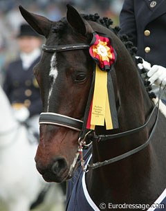 Ravel (by Contango x Democraat)