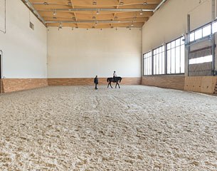 The indoor 20 x 40 m warm-up arena before going to the main indoor show arena