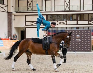 All disciplines of horse sport at Maxima Park