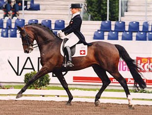 Jasmin Sanche and Plaisir d'Amour at the CDIO Aachen