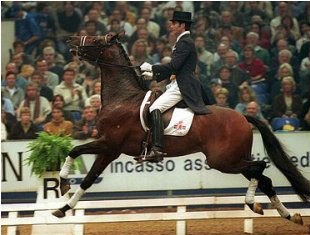 A dressage horse resisting the rider's aids :: Photo © Dirk Caremans