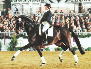 Miriam Henschke aboard the young Ex Libris at the Oldenburg Stallion Days :: Photo © Werner Ernst